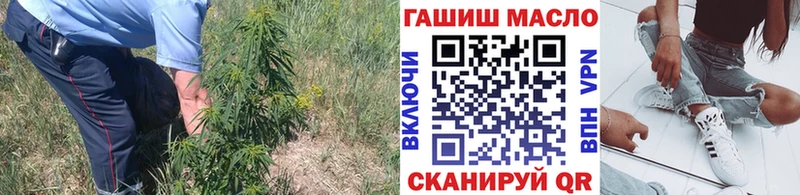 Дистиллят ТГК Wax  Купить закладки  Печоры 